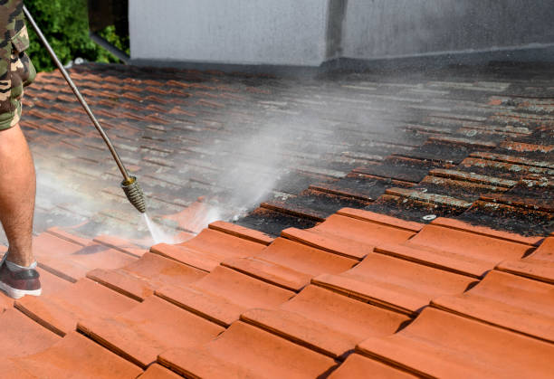 Best Roof Pressure Washing  in Green Knoll, NJ